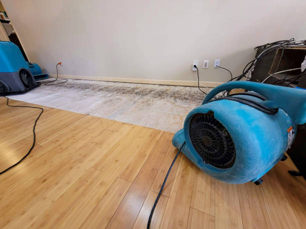 Professional Sewage Cleanup technician working in Blountville, TN